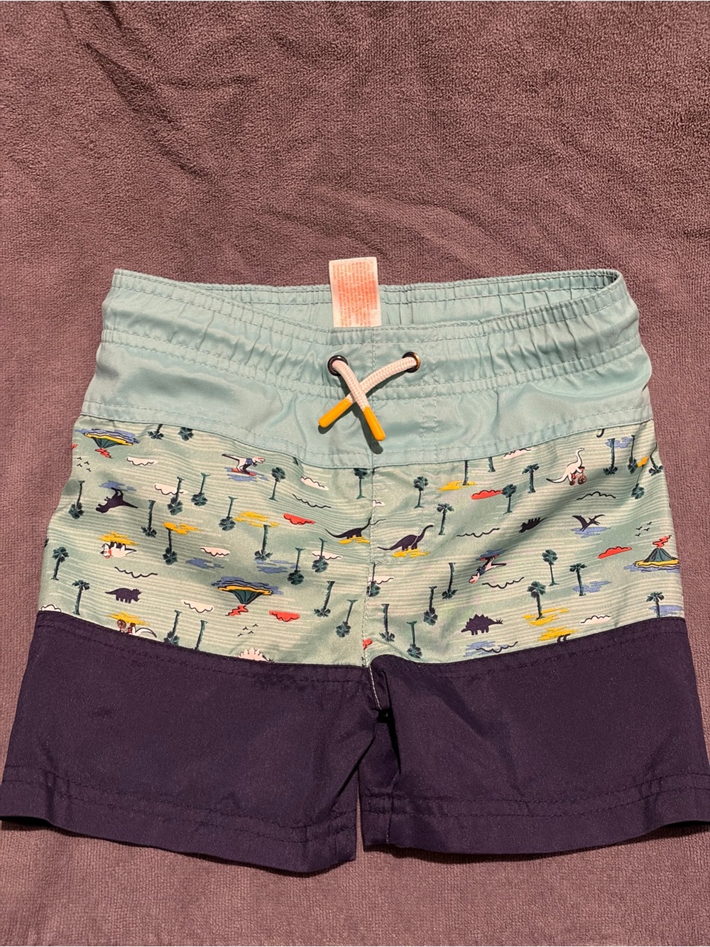 Cat & Jack Light Aqua and Navy Dino Panel Swim Shorts